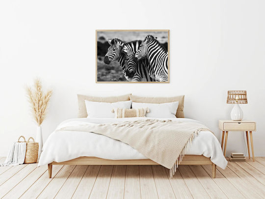 Graceful Zebras In Black And White Χαριτωμένα Ζέβρες Σε Ασπρόμαυρο 1