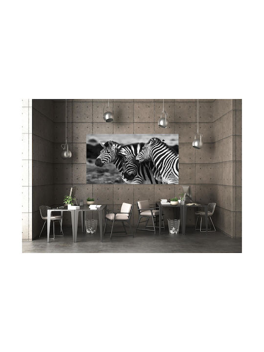 Панел Graceful Zebras В Черно И Бяло Хубави Зебри Черно-Бял 100x70