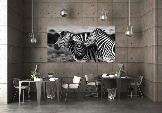 Πίνακας Graceful Zebras In Black White Χαριτωμένα Ζέβρες Ασπρόμαυρο 100x70