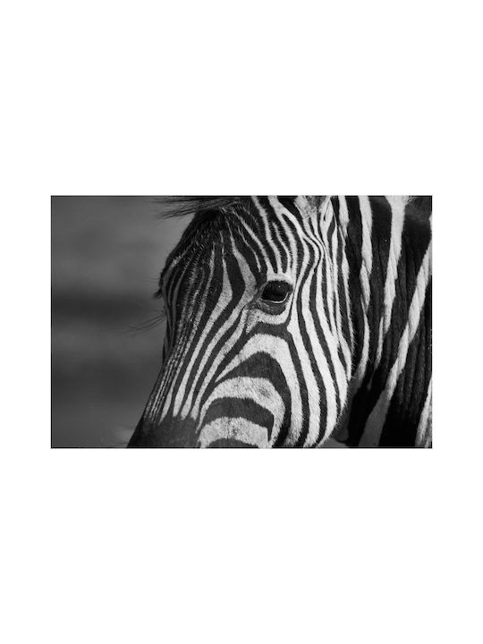 Black White Zebra Painting 120x80