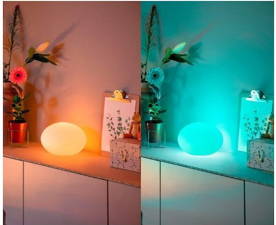 Philips Διακοσμητικό Φωτιστικό Flourish Hue E27