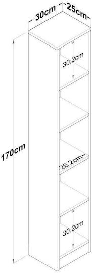 Βιβλιοθήκη Καφέ 30x25x170εκ.