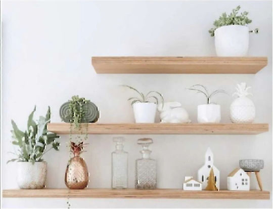 Brown Wall Shelves 3 Pieces 50x14x14cm