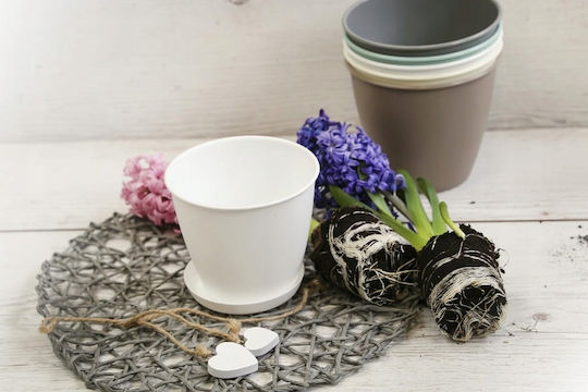 Galicja Plastic White Pot Plate