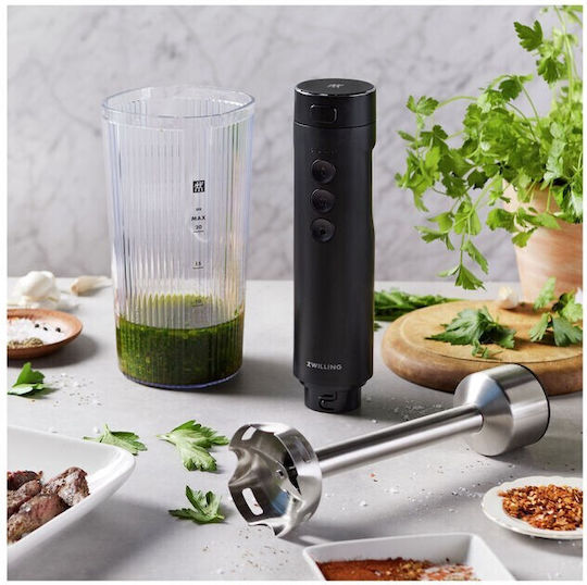 Zwilling J.A. Henckels Ραβδομπλέντερ με Ανοξείδωτη Ράβδο 250W Μαύρο