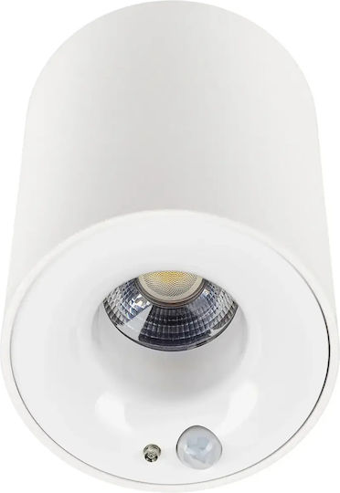 Spoturi Led Alb Natural Cu 10 Lumini În Culoare Albă