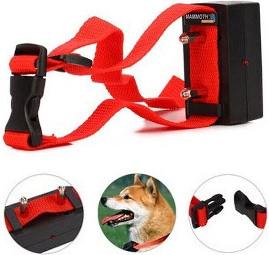 Electric Dog Collar