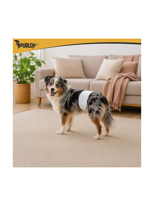 Hundeshirts Für Hunde Größe M-L Purlov
