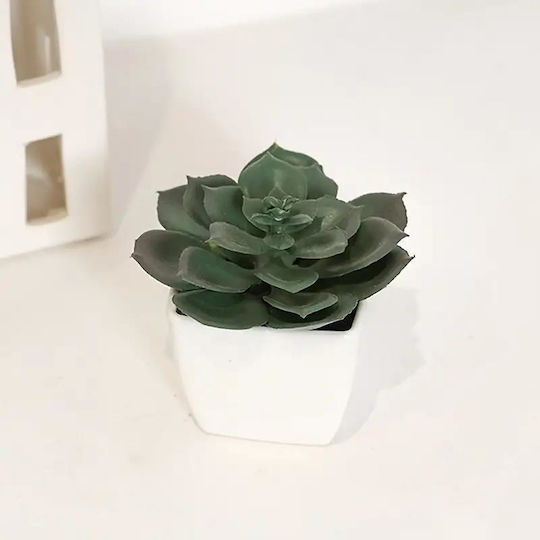 Cactus Small Set/2 Cactus Small Set/2