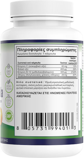 Natural Vitamins Chelate Iron Formula 100 caps