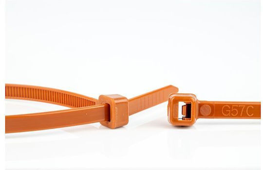 WKK Plastic Cable Ties In Brown Colour 100pcs 110124171