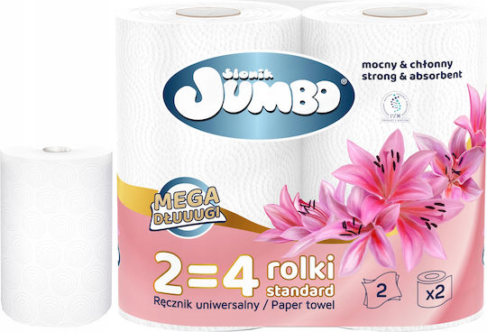 Jumbo Küchenpapier 2 Verpackungsrollen 2 Lagen