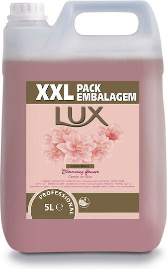 Alista Home Dezinfectant Profesional De Mâini 5L 165899