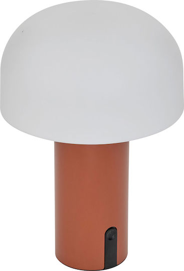 Lămpi Decorative Pentru Masă Jany LED 15x15x22cm