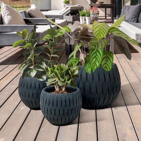 Black Flower Pot 49x37cm
