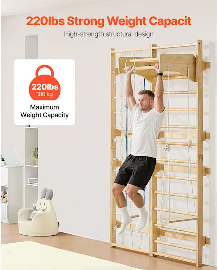 Vevor Slide with Climbing Surface