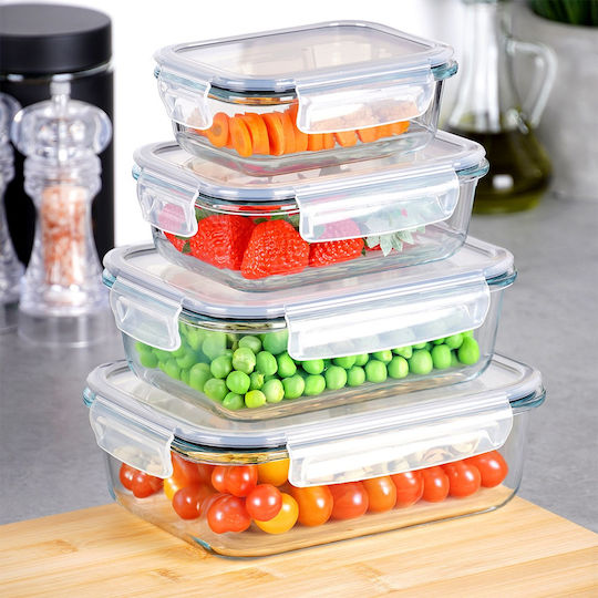 Vilde Set of Transparent Glass Lunch Boxes 4 Pieces