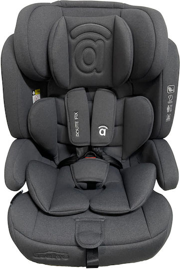 Asalvo Route Fix Car Seat i-Size with Isofix Gray 9-36 kg