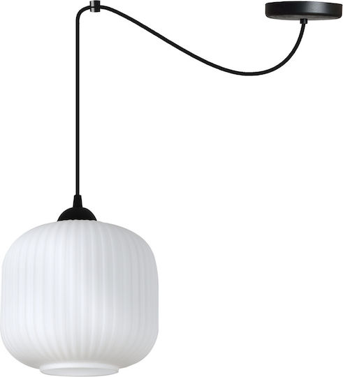 Light Home Pendant Ceiling Light Black with E27 Socket