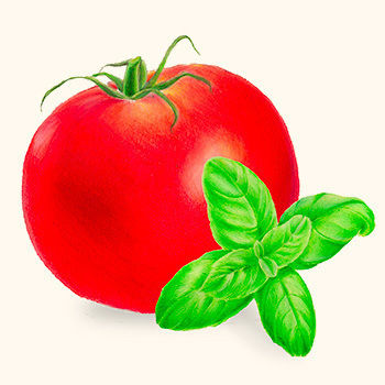 Rummo Rummo Kochsauce 340g