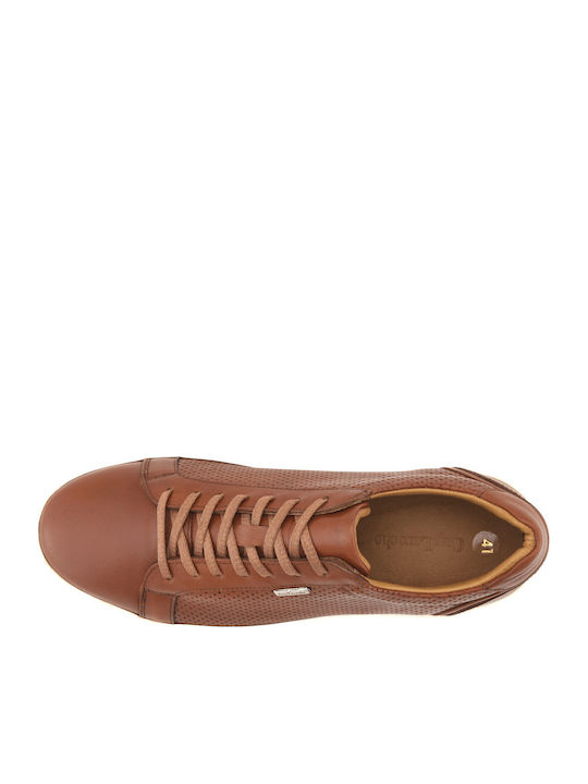 Männer Sneakers Tabac Braun