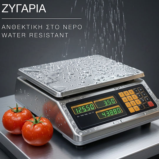 TE Tameiaki Express Electronic Commercial Precision Scale