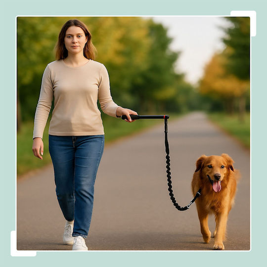 Relaxdays Dog Leash Lead Strap in Black Color