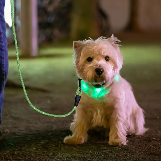 Relaxdays Dog Leash/Lead Strap In Green Colour 1.5m