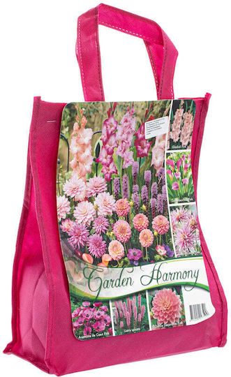 Rosa Garten Zwiebeln