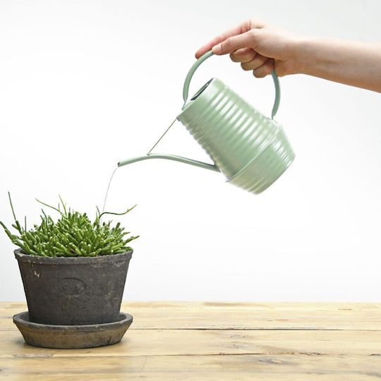 Dekorative 1l Celadon Gießkanne