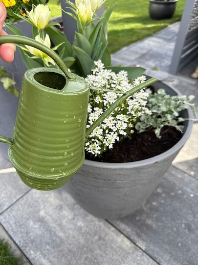 Decorative Dark Green Watering Can 1l