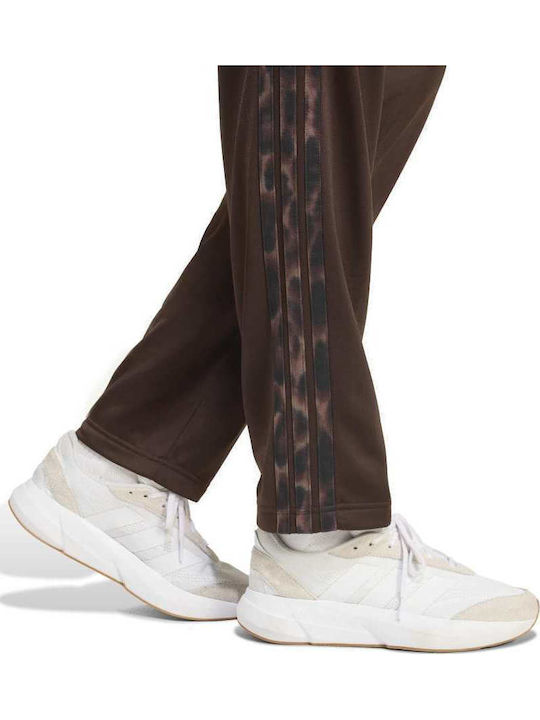 3-stripes Σετ Φόρμας Καφέ