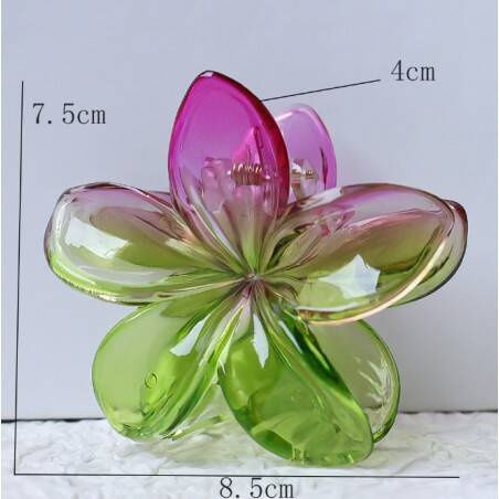 Ecarla Clamă De Păr Cu Floare Moana Ombre Verde Roz Sp319