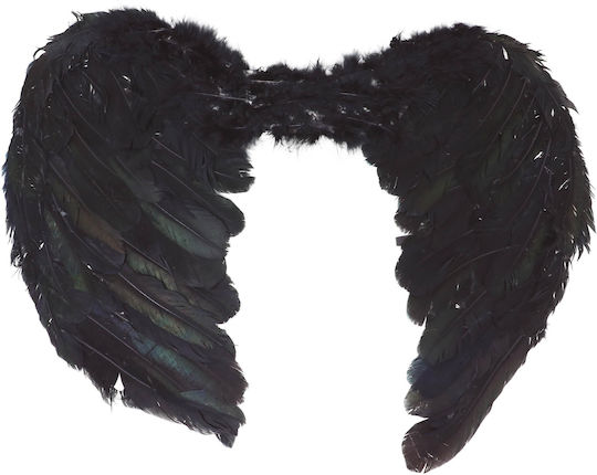 Karnevalsaccessoires Flügel Schwarz
