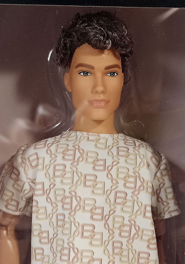 Mattel Кукла Ken (Различни Видове) 1 бр.