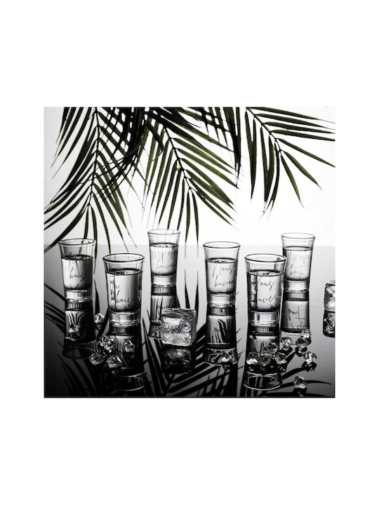 HowHomely Glass Shooters 6 Pieces