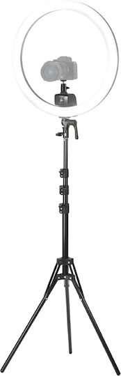 Neewer LED Light 55W with Luminance 3700 Lux