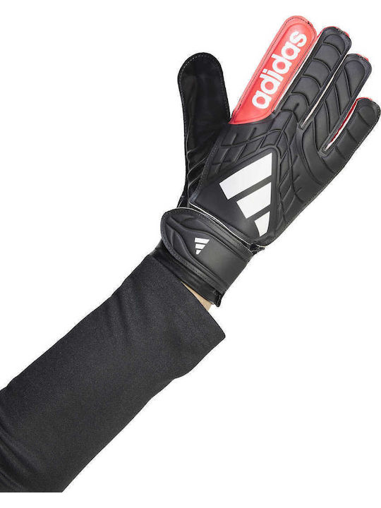 adidas Copa Adults Goalkeeper Gloves Black