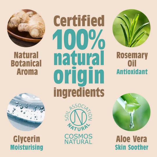 Salt of the Earth Natural Vegan Ginger & Jasmine Αποσμητικό σε Roll-On 100ml