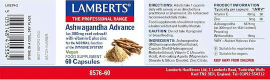 Lamberts Aswagandha Advance 6000mg 60 Mützen