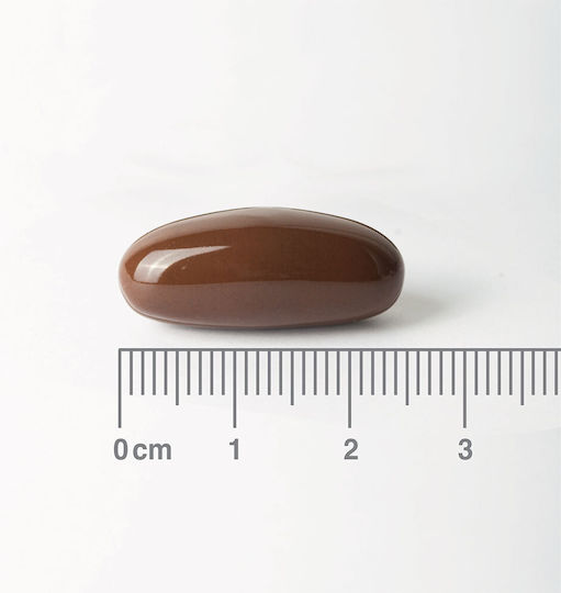 Lamberts Soya Lecithin 1200mg 120 Mützen
