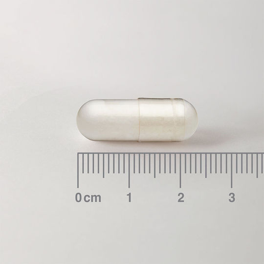 Lamberts Acetyl L-carnitine 500mg 60 caps