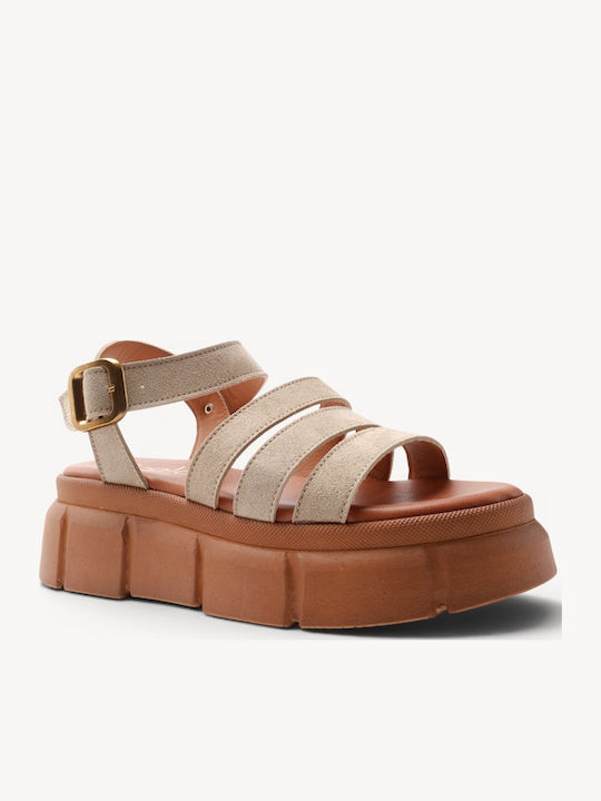 Ligglo V262