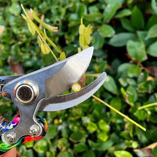 Gartenschere Mit 22cm Scherlänge