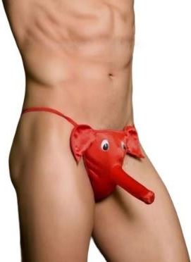 Männer Sexy String Grau