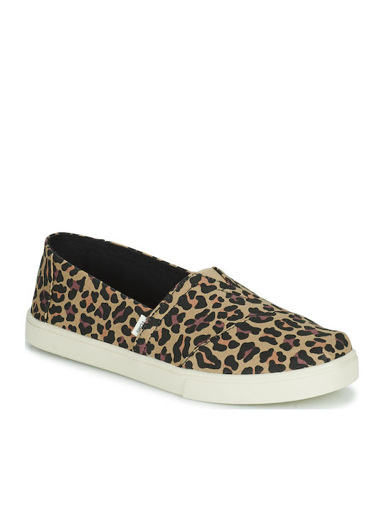 Toms