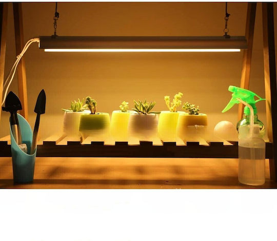 Alista Home Grow Light cu LED