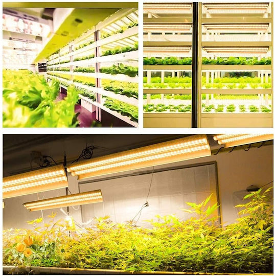 Alista Home Grow Light cu LED