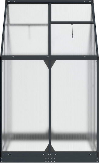 Garden Greenhouse Door Anthracite 183.5 x 123 x 207 cm 42036859 Anthracite