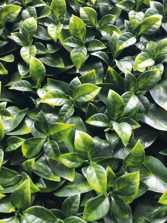 Sidirela Panou artificial de frunziș Gardenia 50x50cm